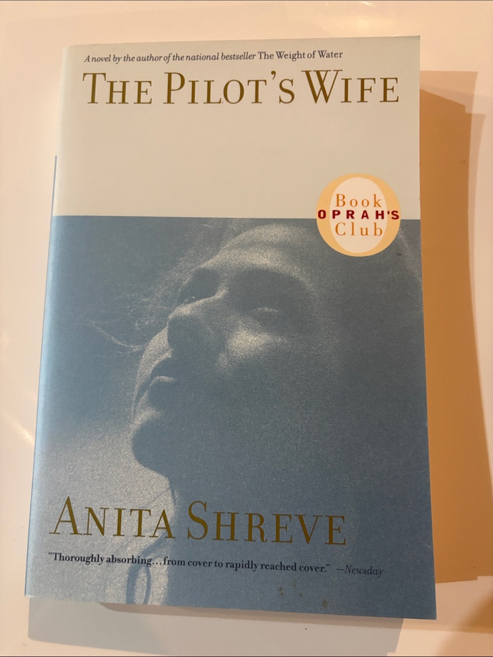 The Pilot's Wife - Blue/Cream Paperback